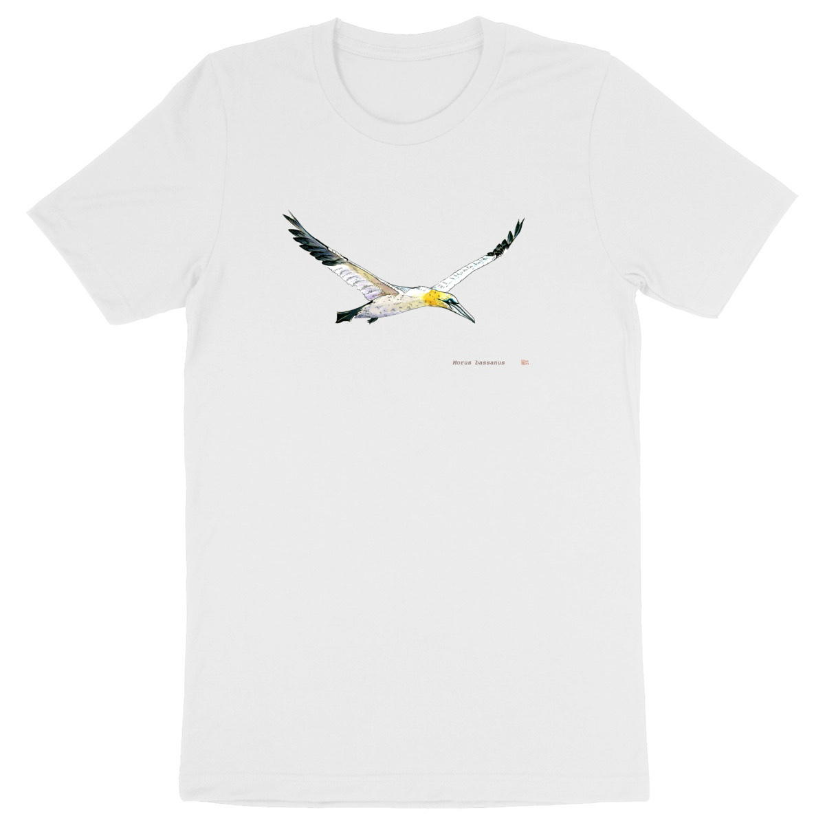 Image front Morus bassanus, le T-shirt adulte unisexe