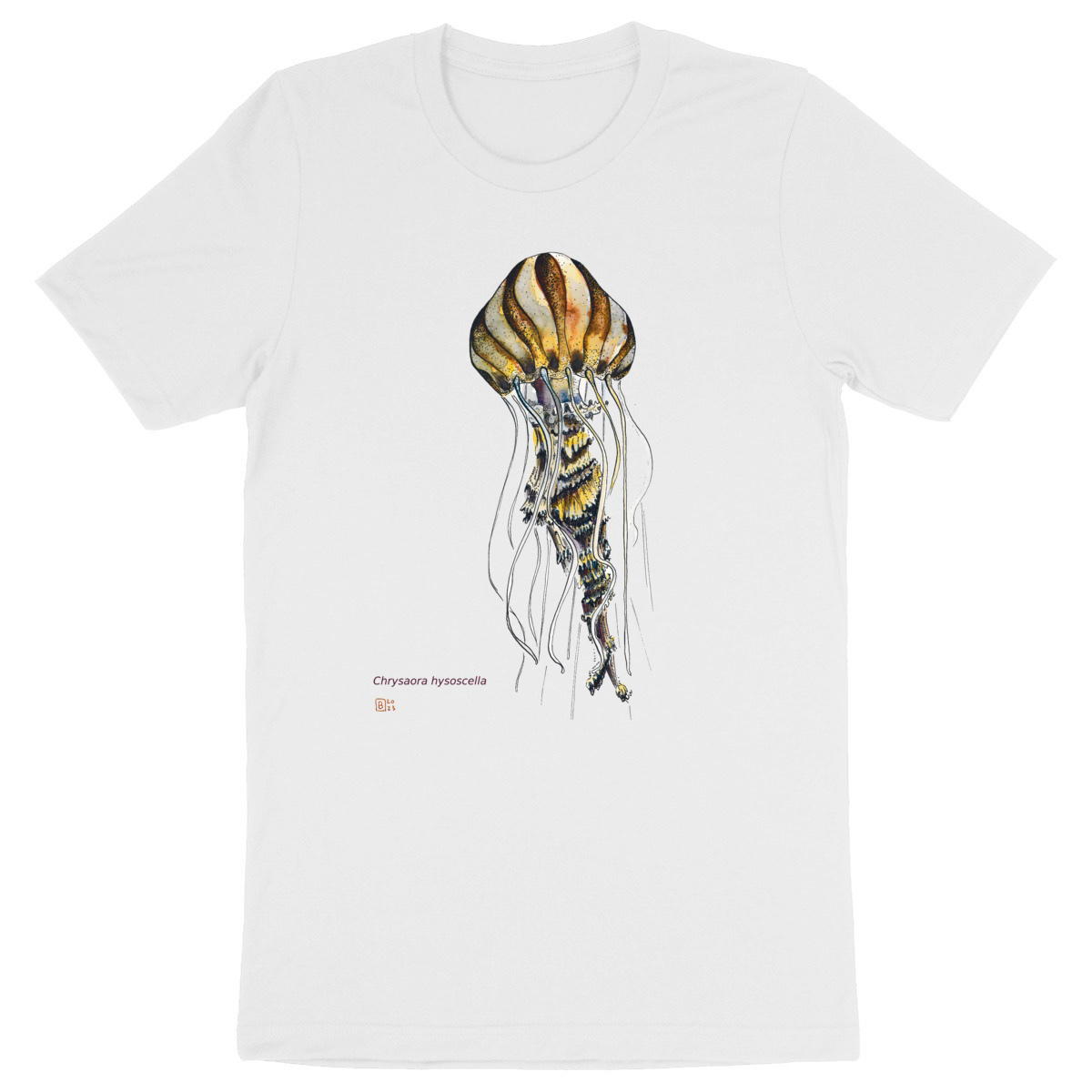 Image front Chrysaora hysoscella, le T-Shirt unisexe adulte