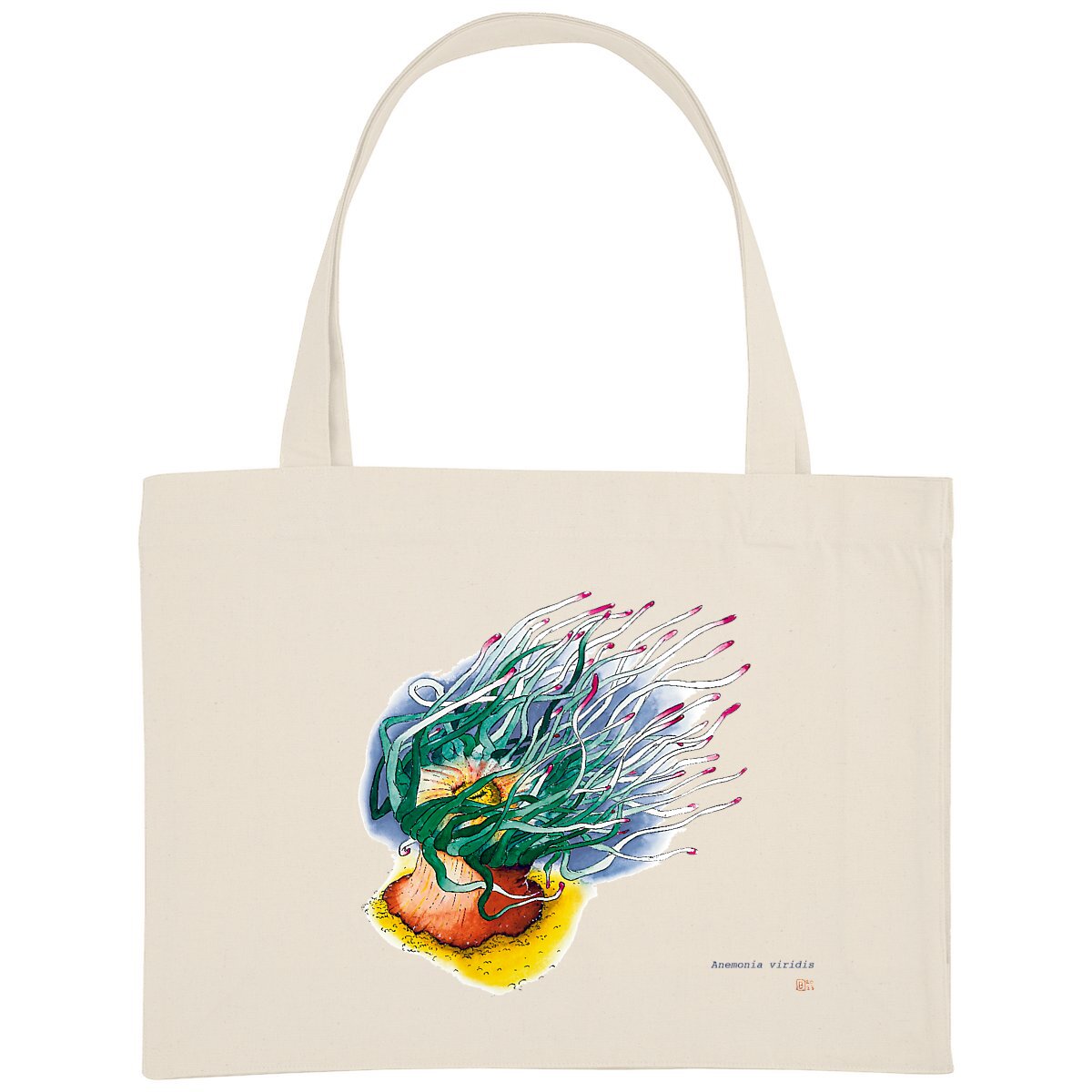 Image front Anemonia viridis, le sac de courses