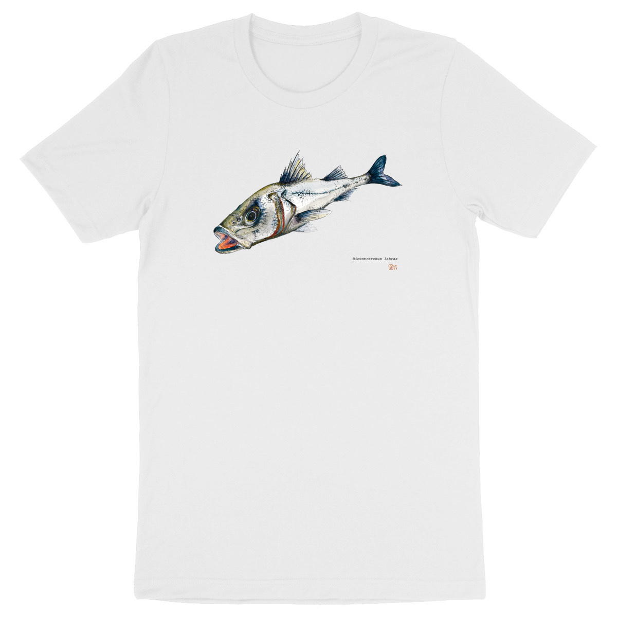 Image front Dicentrarchus labrax, le T-shirt adulte unisexe
