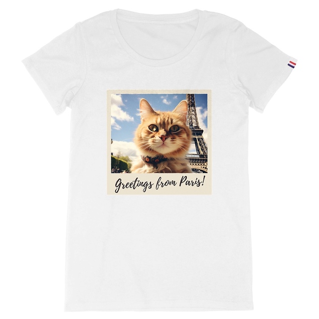 Image back Chaton Funky