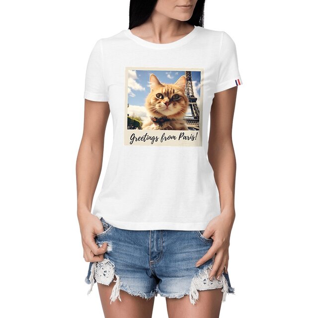 Image front Chaton Funky