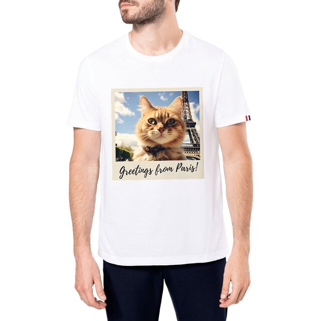 Image front Chaton Funky