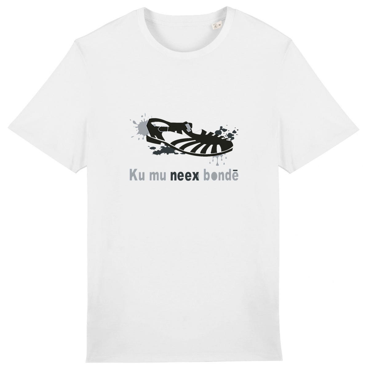 Image front SIKI 04 - Genesis
