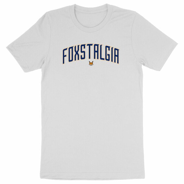 Foxstalgia University - Image