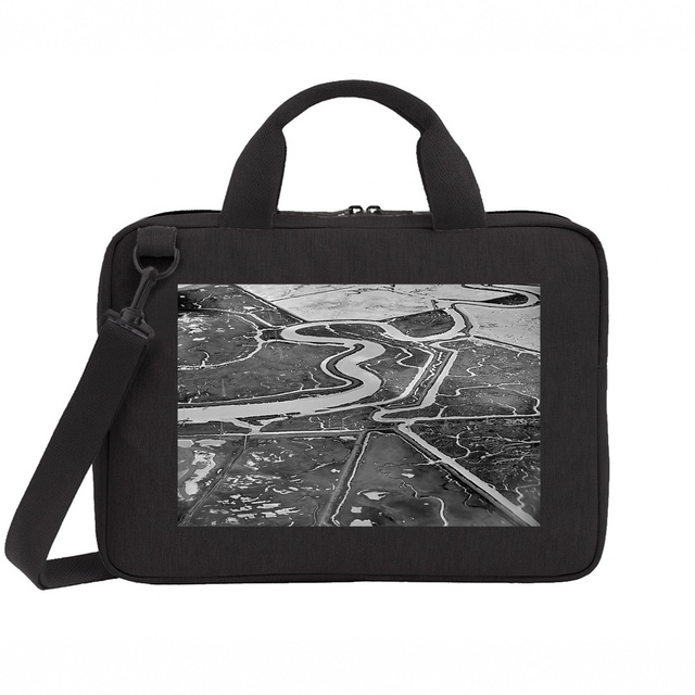Image front California Snake - Laptop Bag