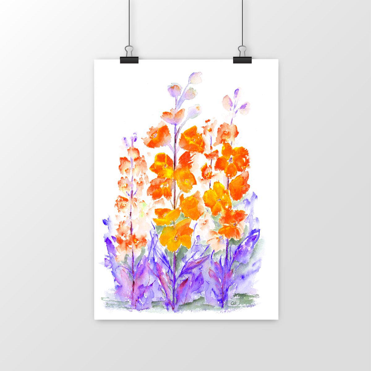 Image front Delphiniums Variation Orange