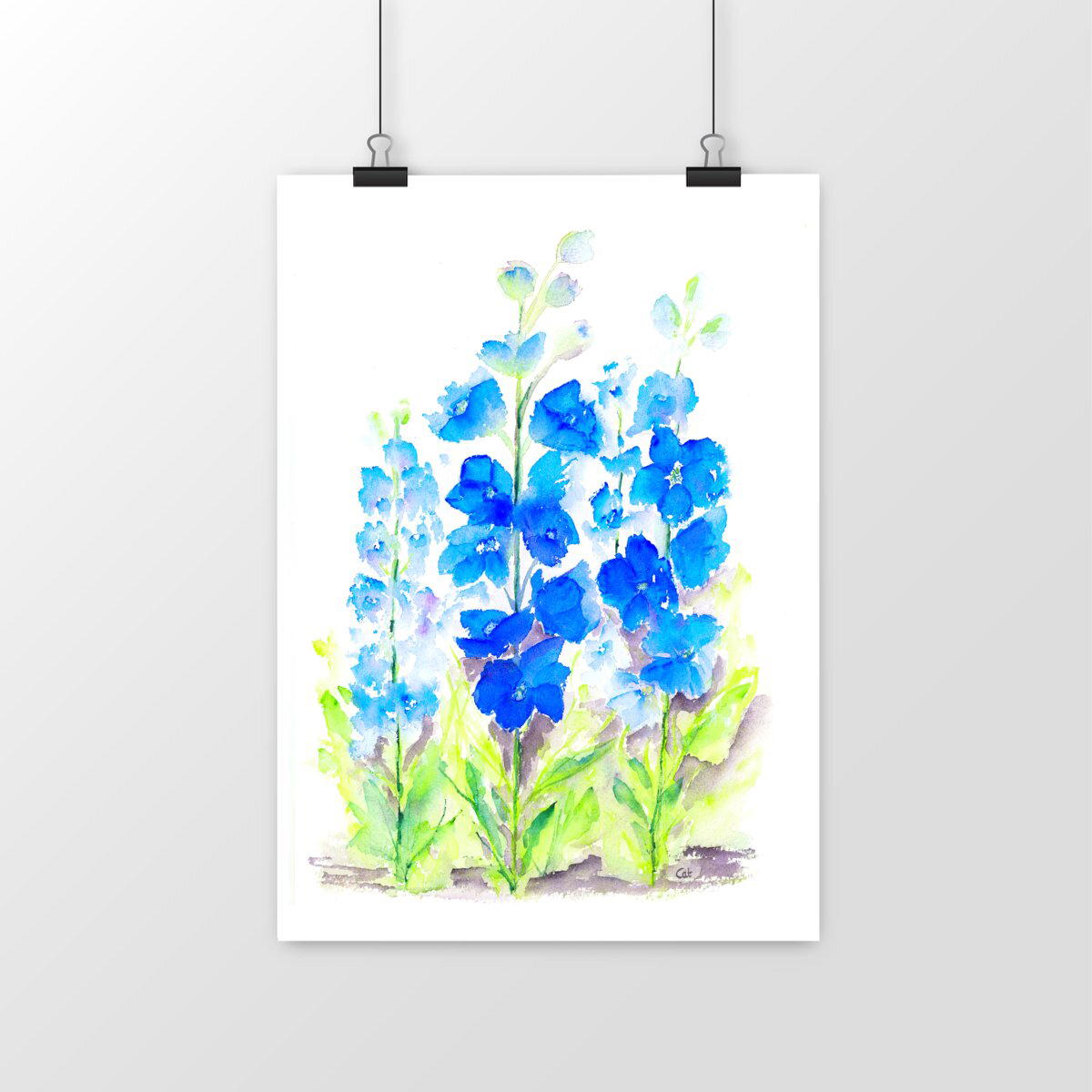 Image front Delphiniums