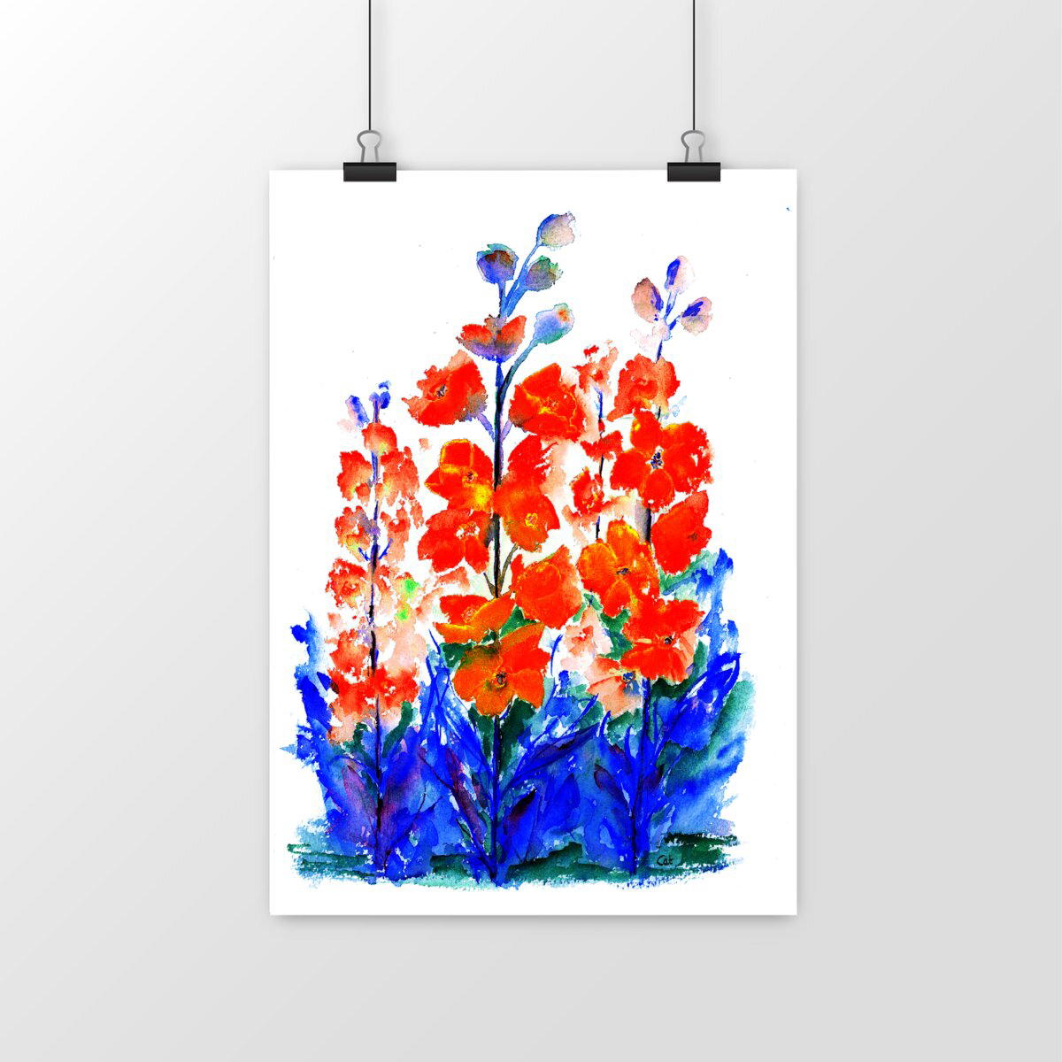 Image front Delphiniums Variation Rouge